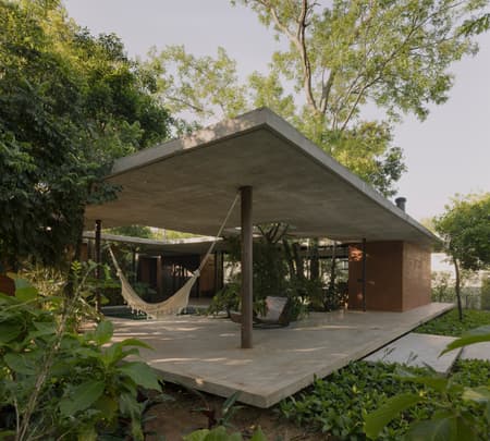 A Forest in the House